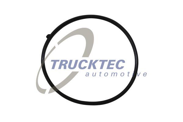 TRUCKTEC AUTOMOTIVE Прокладка, корпус впускного коллектора 02.16.057